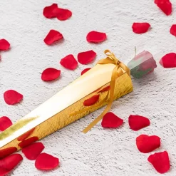 Acetate Premium Flat Rose Cone Chrome Gold (7x65cmH) Pack 6