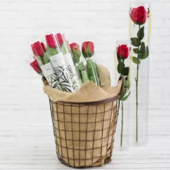 Acetate PVC Rose Cone Clear (6.5x2x46cmH) Pack 12