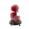 Amore Forever Rose 3 Stem Cloche Red (17x26cmH)