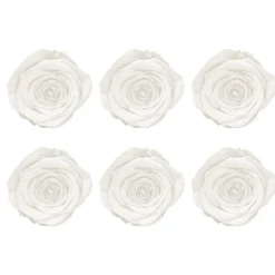 Amore Forever Rose Heads Pack 6 White (5-6cmD)