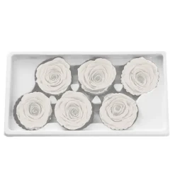 Amore Forever Rose Heads Pack 6 White (5-6cmD)