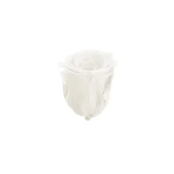 Amore Forever Rose Heads Pack 6 White (5-6cmD)