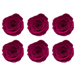 Amore Forever Rose Heads Pack 6 Hot Pink (5-6cmD)