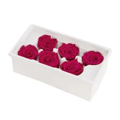 Amore Forever Rose Heads Pack 6 Hot Pink (5-6cmD)