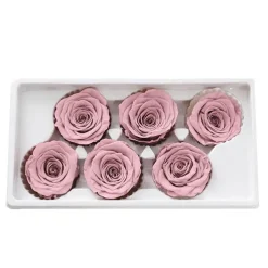 Amore Forever Rose Heads Pack 6 Dusty Pink (5-6cmD)