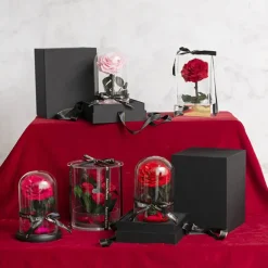 Amore Forever Rose Single Stem Cloche Pink (12cmDx20cmH)