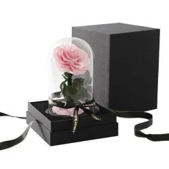 Amore Forever Rose Single Stem Cloche Pink (12cmDx20cmH)