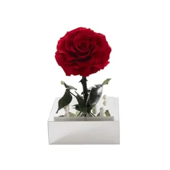 Amore Forever Rose Single Stem Acrylic Box Red (13x22cmH)