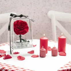 Amore Forever Rose Single Stem Acrylic Box Red (13x22cmH)