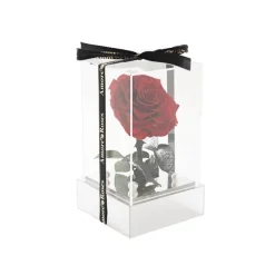 Amore Forever Rose Single Stem Acrylic Box Red (13x22cmH)