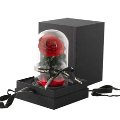 Amore Forever Rose Single Stem Cloche Red (12cmDx20cmH)