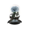 Amore Forever Rose Single Stem Cloche Blue (12cmDx20cmH)