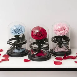 Amore Forever Rose Single Stem Cloche Blue (12cmDx20cmH)