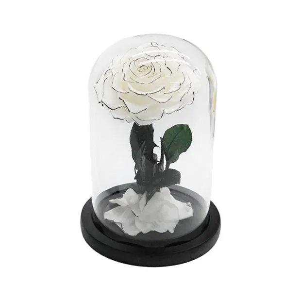 Amore Forever Rose Single Stem Cloche White (12Dx20cmH)
