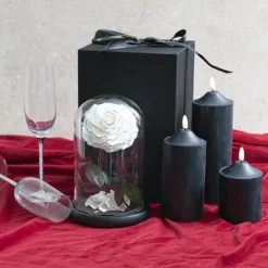 Amore Forever Rose Single Stem Cloche White (12Dx20cmH)