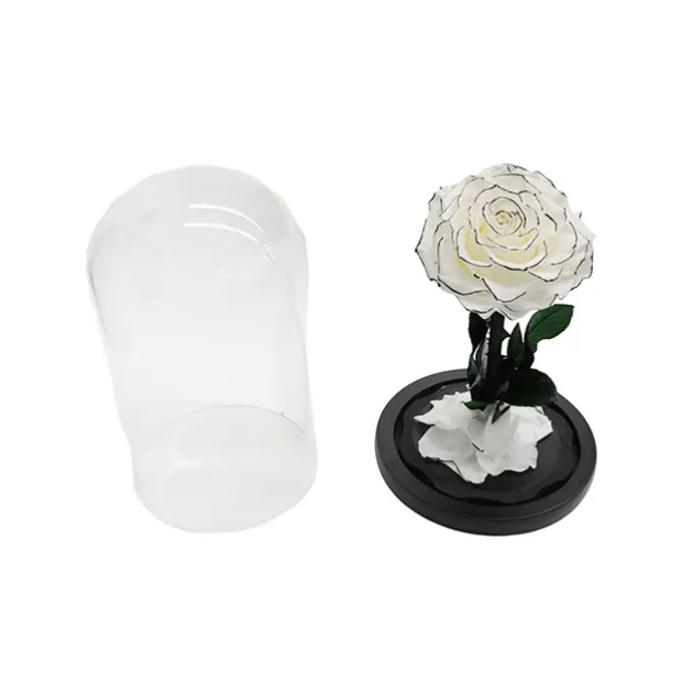 Amore Forever Rose Single Stem Cloche White (12Dx20cmH)