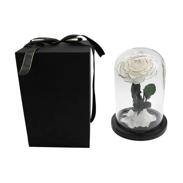 Amore Forever Rose Single Stem Cloche White (12Dx20cmH)
