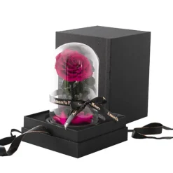 Amore Forever Rose Single Stem Cloche Hot Pink (12cmDx20cmH)