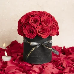 Amore Forever Rose x24 Head Window Box Red (28x33cmH)