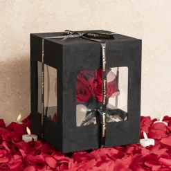 Amore Forever Rose x24 Head Window Box Red (28x33cmH)