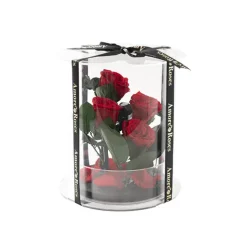 Amore Forever Rose x4 Stem Acrylic Box Red (20Dx17cmH)