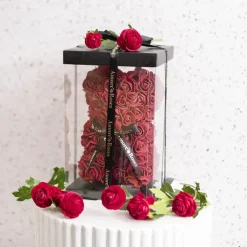Amore Rose Bear w Black Bow Dark Red (25cmH)