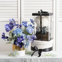 Amore Rose Bear w Black Bow Gradation Ombre Black (25cmH)