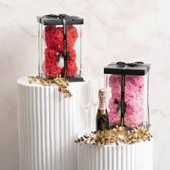 Amore Rose Bear w Pearl Heart & Black Bow Pink (25cmH)