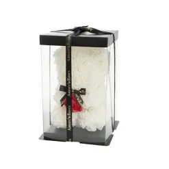 Amore Rose Bear w Red Flower & Black Bow White (25cmH)