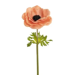 Anemone Flower Stem Peach (14cmDx57cmH)