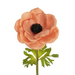 Anemone Flower Stem Peach (14cmDx57cmH)