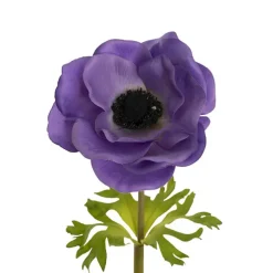Anemone Flower Stem Purple (14cmDx57cmH)