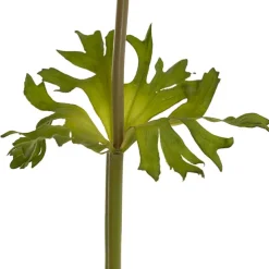 Anemone Flower Stem Red (14cmDx57cmH)