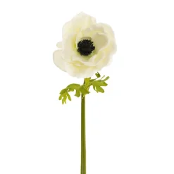 Anemone Flower Stem Soft Green (14cmDx57cmH)