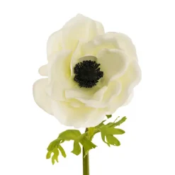 Anemone Flower Stem Soft Green (14cmDx57cmH)