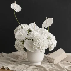 Annabelle Hydrangea Stem White (19cmDx55cmH)