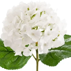 Annabelle Hydrangea Stem White (19cmDx55cmH)