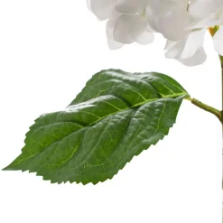 Annabelle Hydrangea Stem White (19cmDx55cmH)