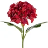 Annabelle Hydrangea Stem Dark Red (19cmDx55cmH)