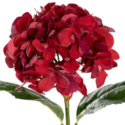Annabelle Hydrangea Stem Dark Red (19cmDx55cmH)