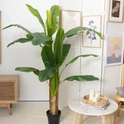 Artificial Banana Tree 3 Trunk Green (180cmH)