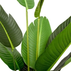 Artificial Bird Of Paradise Plant Potted Green (150cmH)