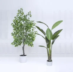 Artificial Ficus Tree Potted Green (180cmH)