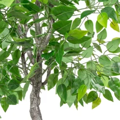 Artificial Ficus Tree Potted Green (180cmH)