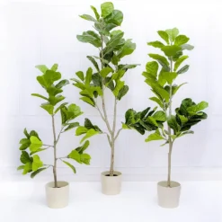 Artificial Fiddle Leaf Tree Potted Green (180cmH)