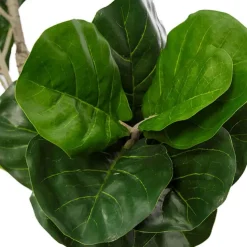 Artificial Fiddle Leaf Tree Potted Green (180cmH)