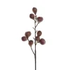 Artificial Fig Spray Wine (48cmH)