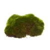 Artificial Large Moss Pads Pack 6 Green (14cmD)