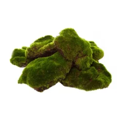 Artificial Large Moss Pads Pack 6 Green (14cmD)