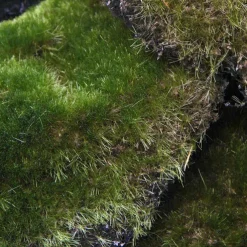 Artificial Large Moss Pads Pack 6 Green (14cmD)